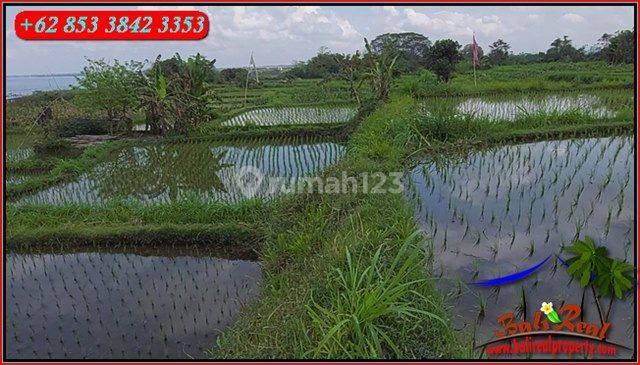 Tepi Pantai Dijual Murah Dgn Luas Lahan 3,300 M2 di Klungkung 3