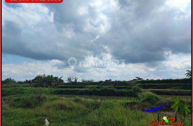 Tepi Pantai Dijual Murah Dgn Luas Lahan 3,300 M2 di Klungkung 6