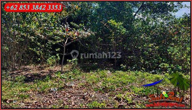 1,800 M2 Area Kusamba Tanah Siap Bangun Tepi Pantai 5