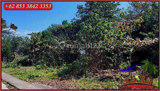 1,800 M2 Area Kusamba Tanah Siap Bangun Tepi Pantai 6