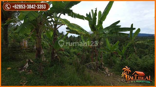 Termurah Cocok Untuk Investasi 56.400 M2 Akses Jalan Aspal 3