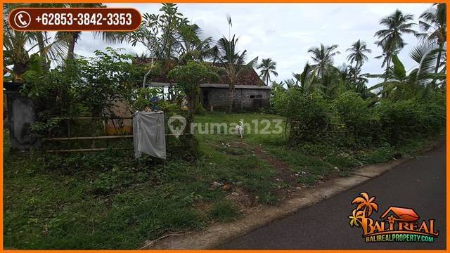 Termurah Cocok Untuk Investasi 56.400 M2 Akses Jalan Aspal 6