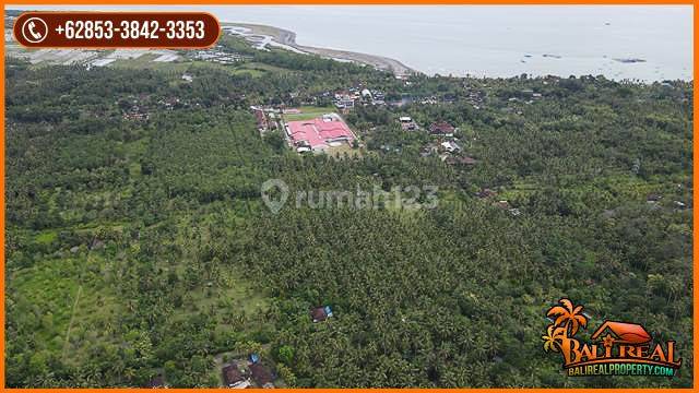 Dijual Nett Perkebunan Luasan Besar 823 Are di Melaya 4
