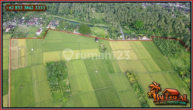 Luasan Besar 2000 Are Lokasi Mendoyo Akses Jalan Hotmix 4
