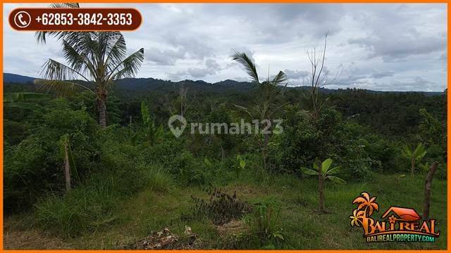Akses Jalan Aspal Dgn Luas 56.400 M2 Area Yehembang 2