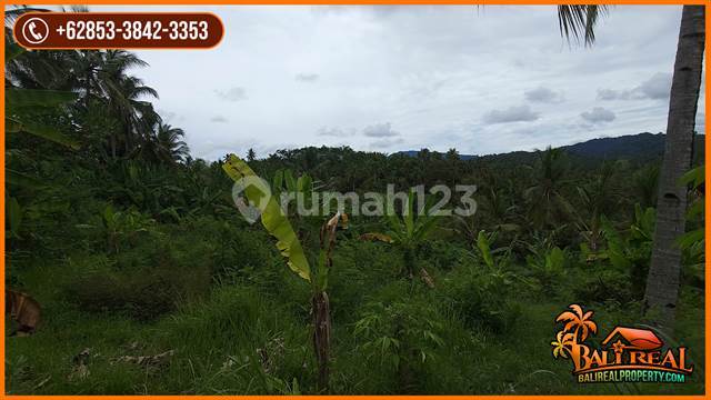 Akses Jalan Aspal Dgn Luas 56.400 M2 Area Yehembang 3