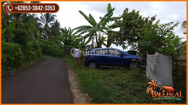 Akses Jalan Aspal Dgn Luas 56.400 M2 Area Yehembang 4