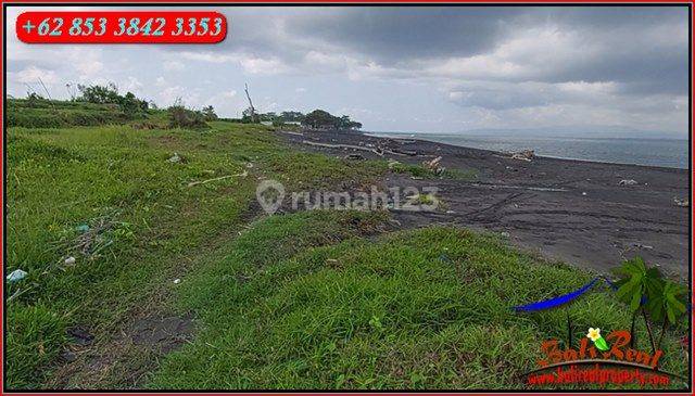 Tepi Pantai 3,300 M2 Persawahan Dominan Datar 2
