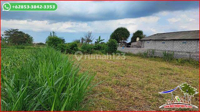 View Sawah Dan Gunung 2,700 M2 Tepi Pantai  5