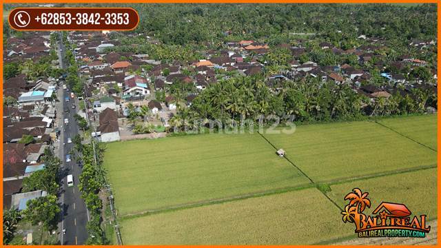 Magnificent Property 2000 Are For Sale In Jembrana 6
