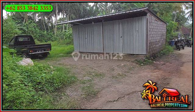Magnificent Land 200 M2 For Sale In Ubud Pejeng 2