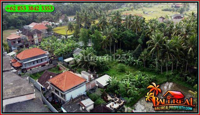 Magnificent Land 200 M2 For Sale In Ubud Pejeng 3