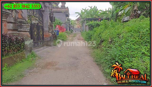 Magnificent Land 200 M2 For Sale In Ubud Pejeng 4