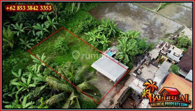 Magnificent Land 200 M2 For Sale In Ubud Pejeng 5