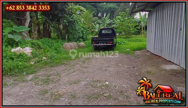Magnificent Land 200 M2 For Sale In Ubud Pejeng 6