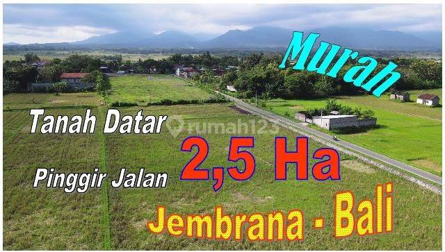 24.490 M2 Land In Jembrana Bali For Sale 1