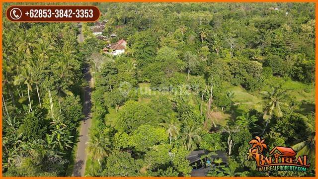 Dijual Nett Beautiful Flat Garden Land By Asphalted Road Access 2