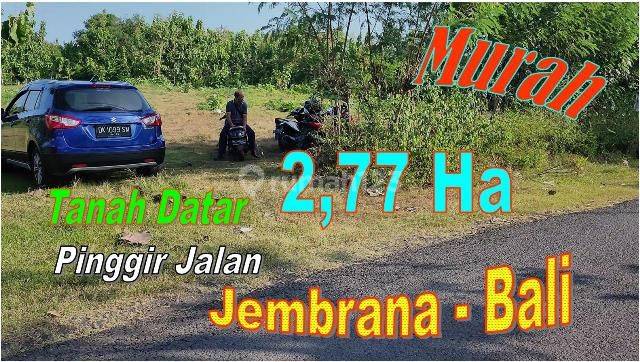 Under Market Price Property 27.700 Sqm In Jembrana 1