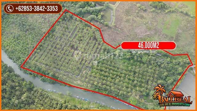 Tanah Semi Kotak di Air Kuning Jembrana 700 Mtr Dari Pantai 2