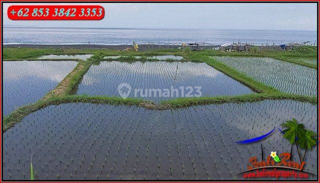 Tanah Tepi Pantai 33 Are Dominan Datar Area Klungkung Bali 2