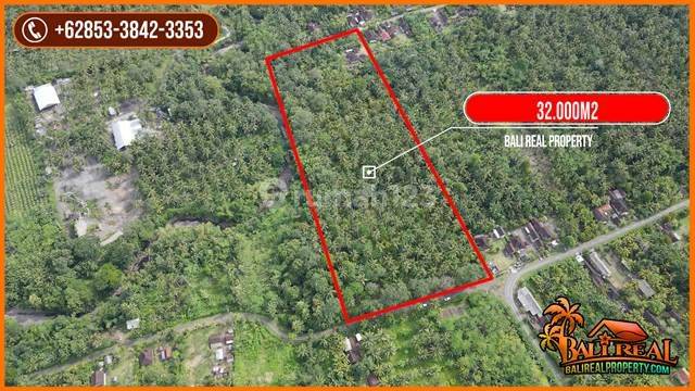 Tanah Murah Area Jembrana 3,5 Ha Dekat Jalan Utama 1