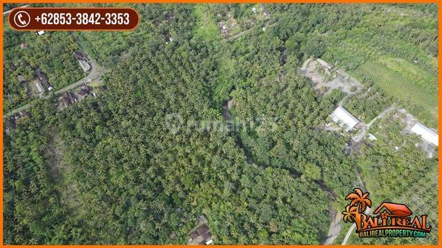 Tanah Murah Area Jembrana 3,5 Ha Dekat Jalan Utama 2