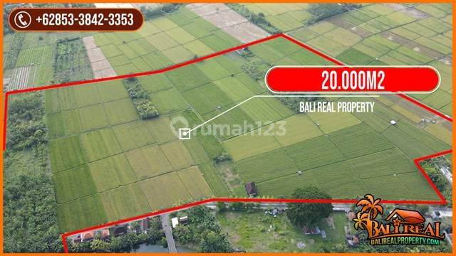 Tanah Datar Akses Aspal Hotmix 20 Ha Area Jembrana Bali 1
