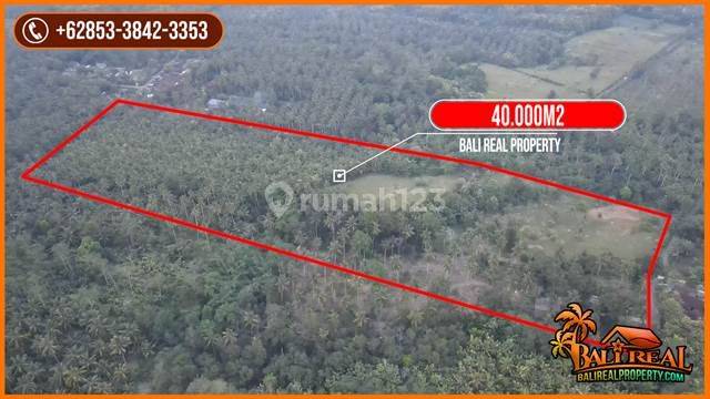 Tanah Murah Area Jembrana 4 Hektar Dekat Pantai Karang Impian 1