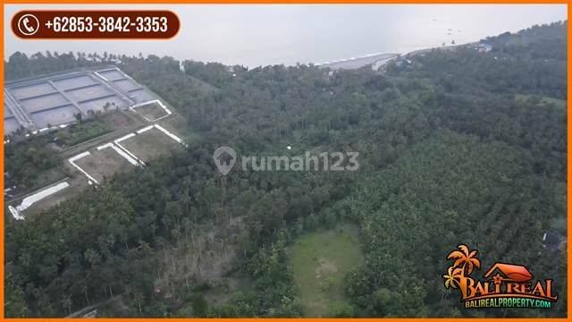 Tanah Murah Area Jembrana 4 Hektar Dekat Pantai Karang Impian 2