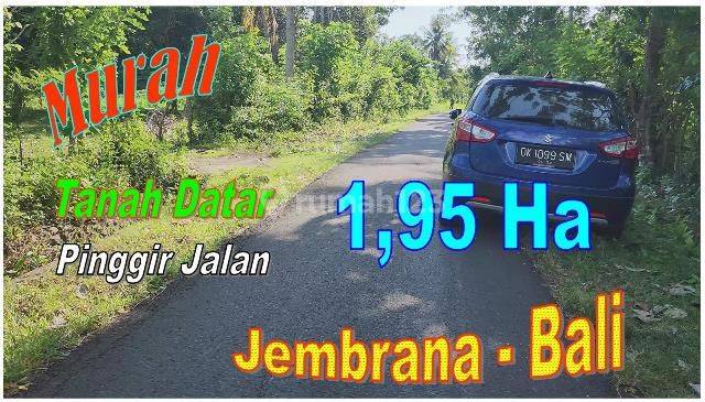 Jual Tanah Di Baluk, Jembrana | Harga Per Meter Terbaru