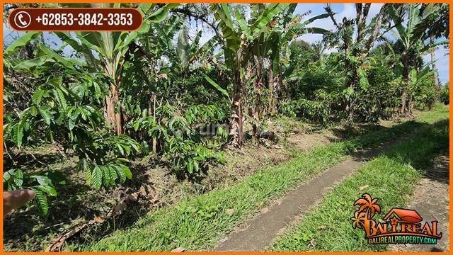 Land for sale with a net area of 80 acres, predominantly flat and sloping 1