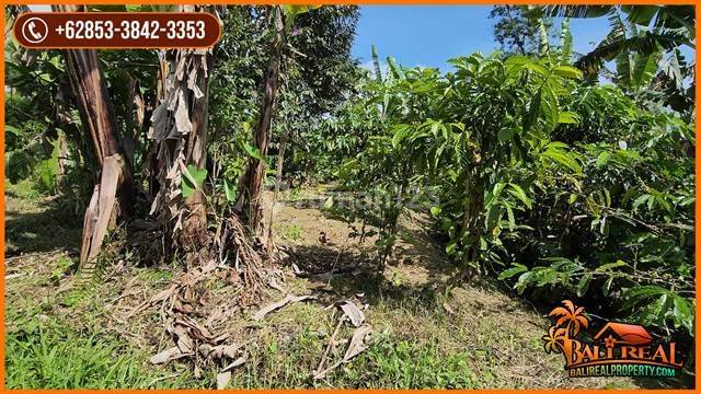 Land for sale with a net area of 80 acres, predominantly flat and sloping 2