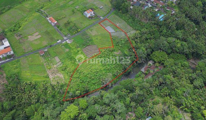 82 Are of Strategic River Side Road Land in Baha Mengwi 2