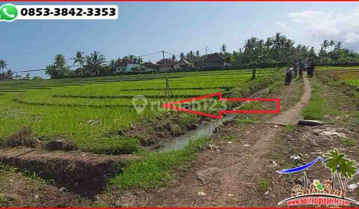 View Sawah, Gunung Dan Laut 2,700 M2 di Selemadeg Timur Tabanan 2