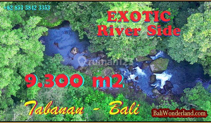 View of Forest and River Cliffs 9,300 M2 in Marga Tabanan 1