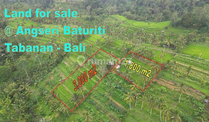 3,000 M2 Concrete Road Access Location Near Angseri Hot Springs 2