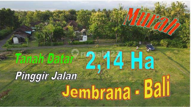 Flat Land with Roadside Access 21,400 M2 in Jembrana Bali 1