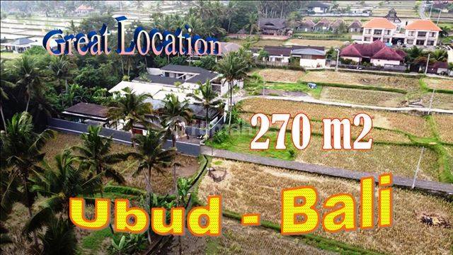 270 M2 Flat Rice Field Land in Pejeng Suitable for Residential Houses 1