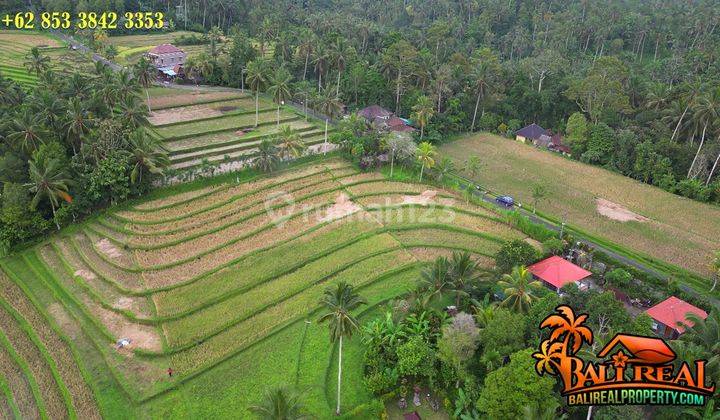 Strategic 45 Are View of Rice Fields and Mountains on Hotmix Roadside 2