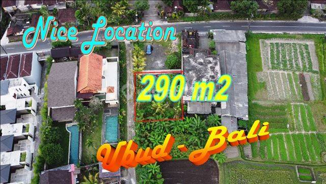 Potensial 290 M2 Untuk Hunian View Sawah Lingkungan Villa 1