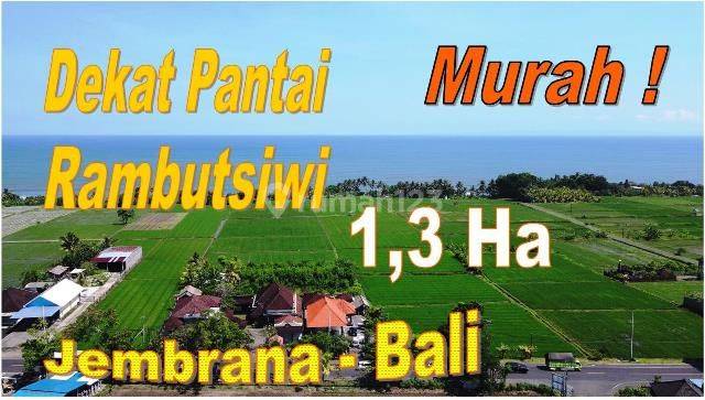 Tanah Sawah 13.030 M2 Kontur Bagus Pinggir Jalan Provinsi 1