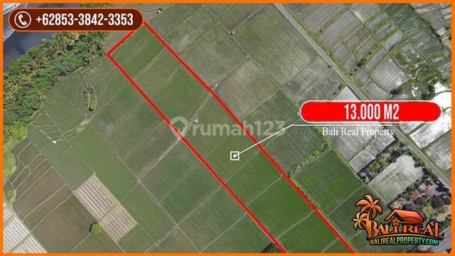 Tanah Sawah 13.030 M2 Kontur Bagus Pinggir Jalan Provinsi 2