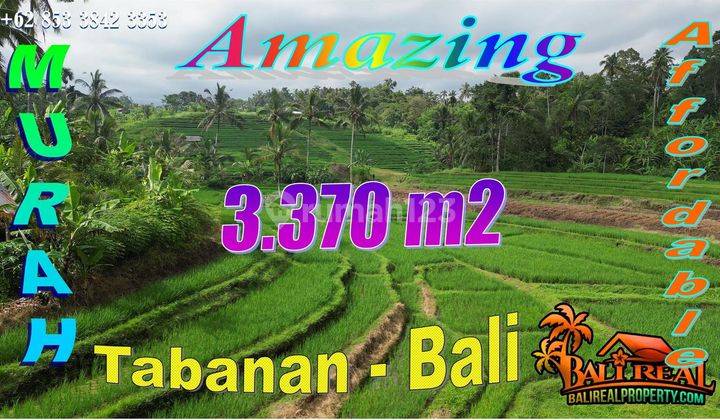 For sale 3,370 M2 of former rice field garden land in Penebel, Tabanan 1