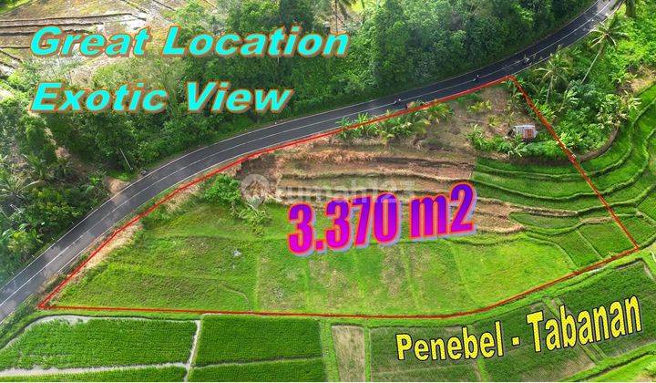 For sale 3,370 M2 of former rice field garden land in Penebel, Tabanan 2