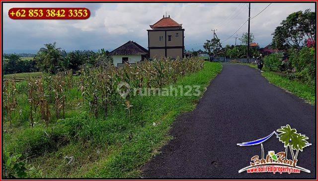 Strategic 18 Are View of Rice Fields and Mountains, Roadside 2