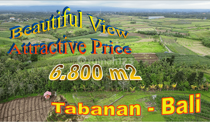 Cheap Land in Kerambitan Tabanan 68 Are Near the City and Beach 1