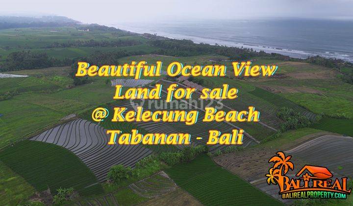 View of Rice Fields, Mountains and Sea 8,000 M2 in East Selemadeg 2