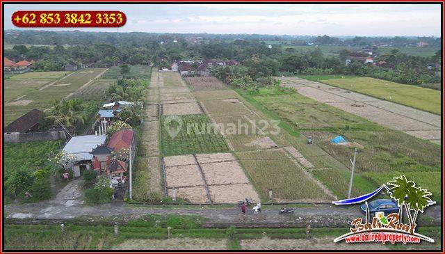 Tanah Murah di Kerambitan Tabanan View Sawah Dan Gunung 2