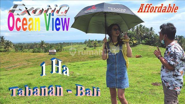 Cheap views of rice fields, mountains and sea in Selemadeg Barat Tabanan  1