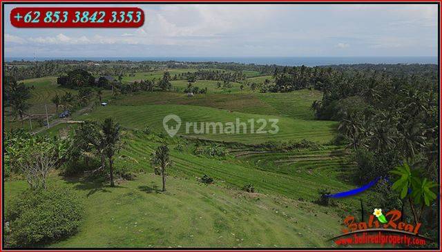 Cheap views of rice fields, mountains and sea in Selemadeg Barat Tabanan  2